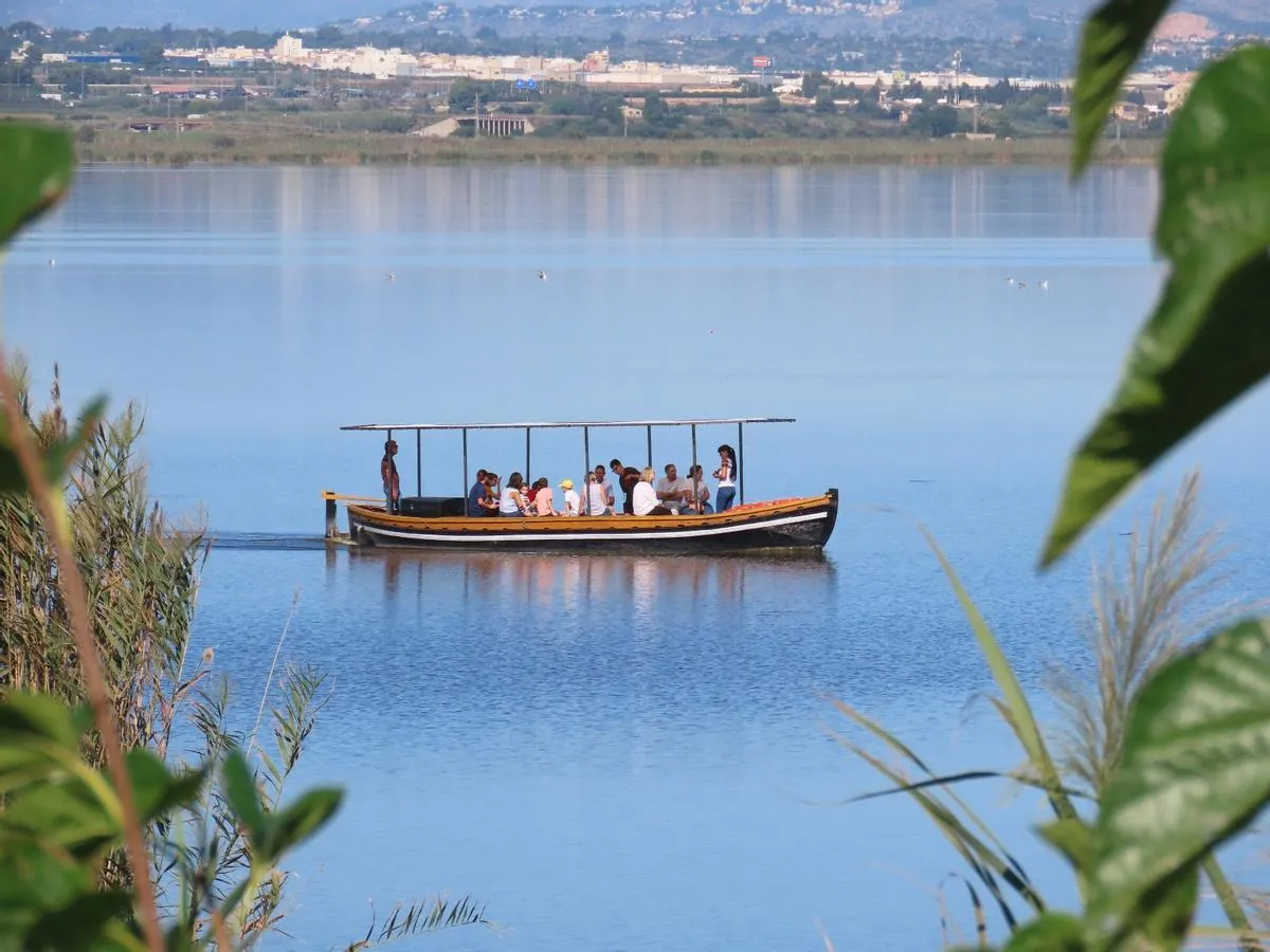 Una barca de passeig amb visitants navegant pel llac de l'Albufera, vista entre les canyes