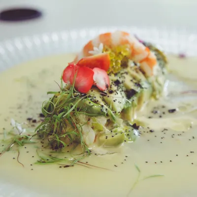 Plat d'alvocat a concurs