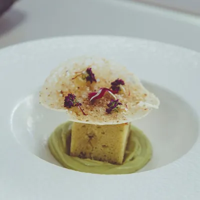 Plat d'alvocat a concurs