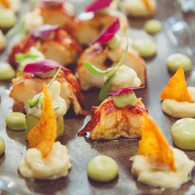 Plat d'alvocat a concurs